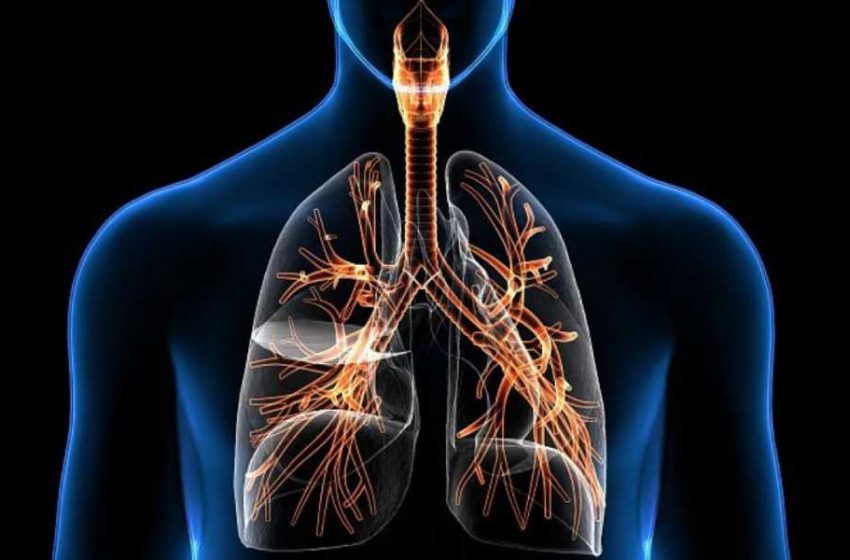 9 تا از بهترین متخصص ریه در شیراز