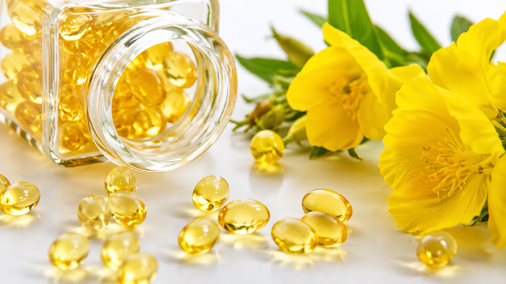 خواص روغن گل مغربی چست؟ 5 فایده علمی برای پوست، قاعدگی، یائسگی و مفاصل