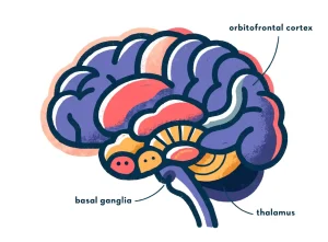 اختلال وسواس فکری-عملی (OCD)؛ علائم، تشخیص و روش‌های درمان