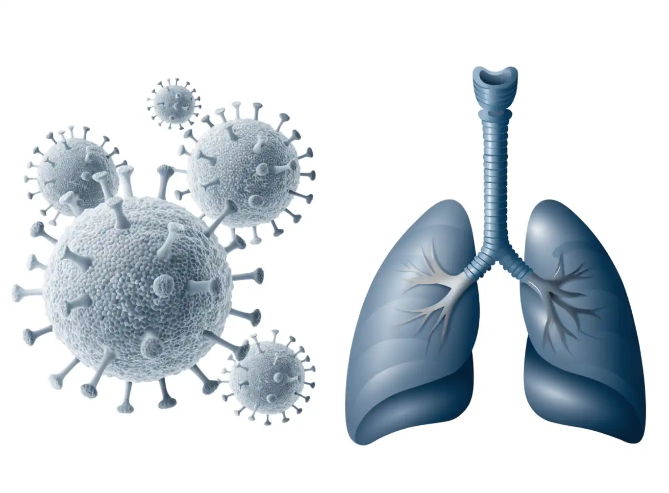 آنفلوانزا (Influenza) چیست؟