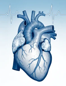 فیبریلاسیون دهلیزی (Atrial Fibrillation) چیست؟