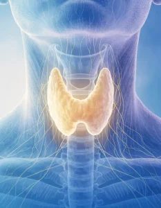 تیروئیدیت هاشیموتو (Hashimoto’s Thyroiditis) چیست؟