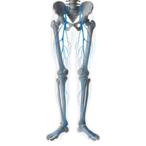 نوروپاتی محیطی (Peripheral Neuropathy) چیست؟