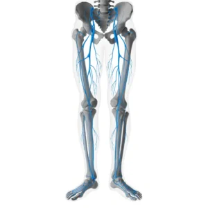 نوروپاتی محیطی (Peripheral Neuropathy) چیست؟
